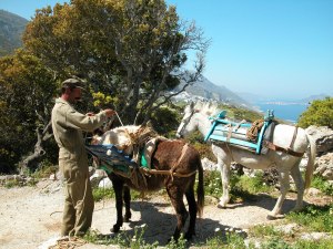 Un homme et son âne, sur l'île d'Amorgos.