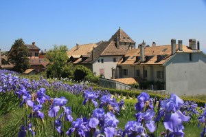 Le jardin, juste derrière le château de Nyon. (Suisse)