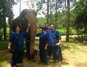 Une belle journée à apprendre le métier de gardien d'éléphant !