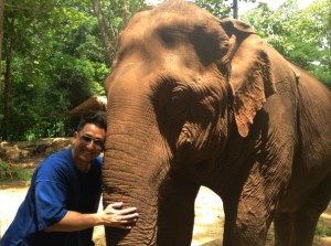 Au Centre de conservation des éléphants, en Thaïlande