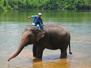Un véritable gardien d'éléphants, au Elephant Conservation Centre