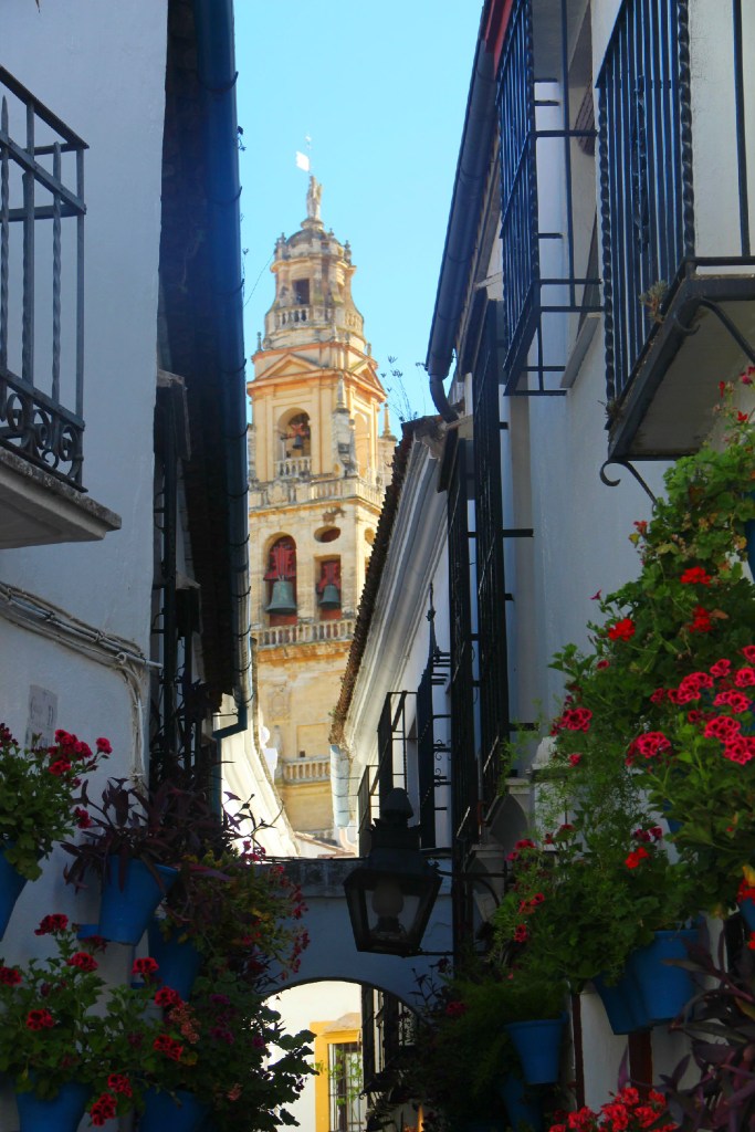 Dans une ruelle de la vieille ville de Cordoue.