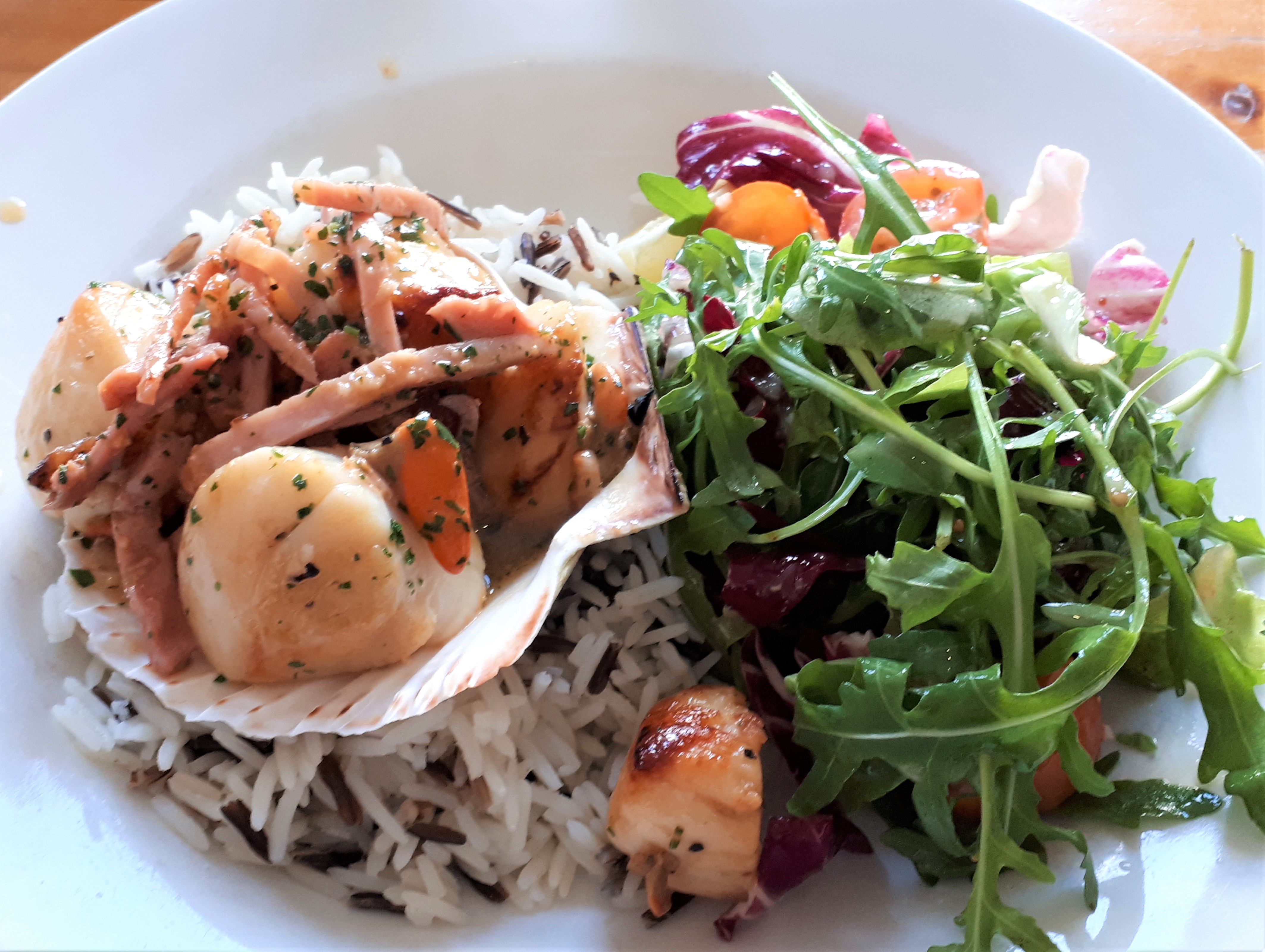 Pétoncles à Applecross, dans les Highlands.