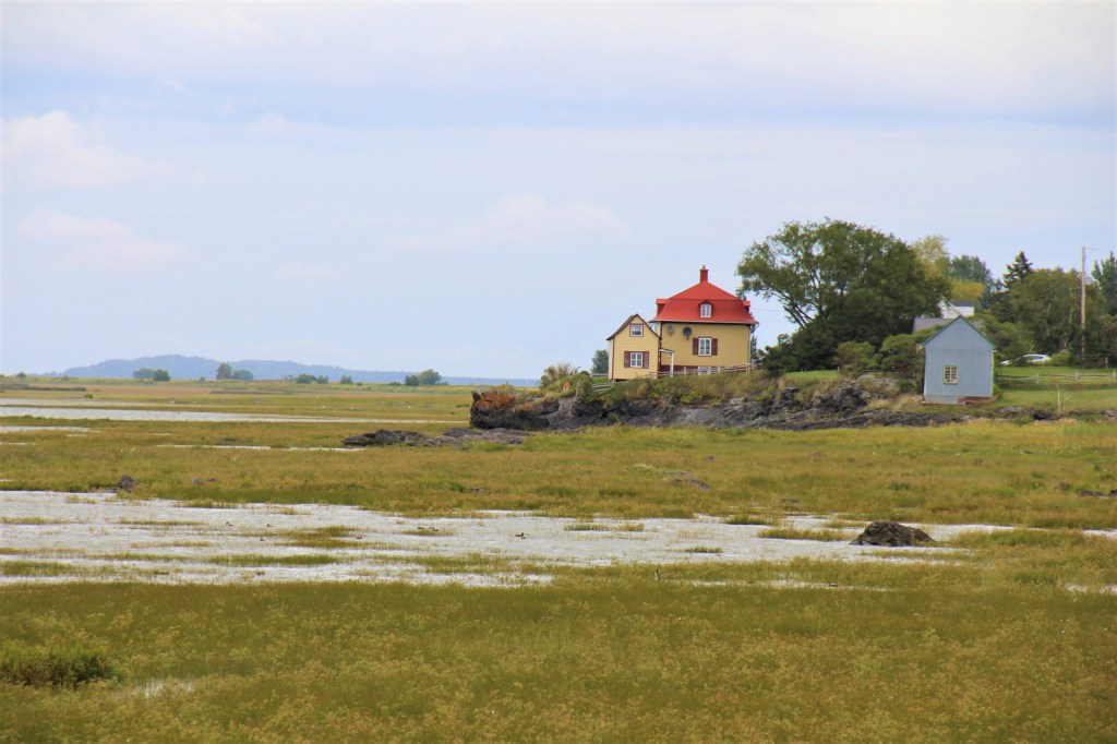 Sur la côte de l'Isle aux Grues.