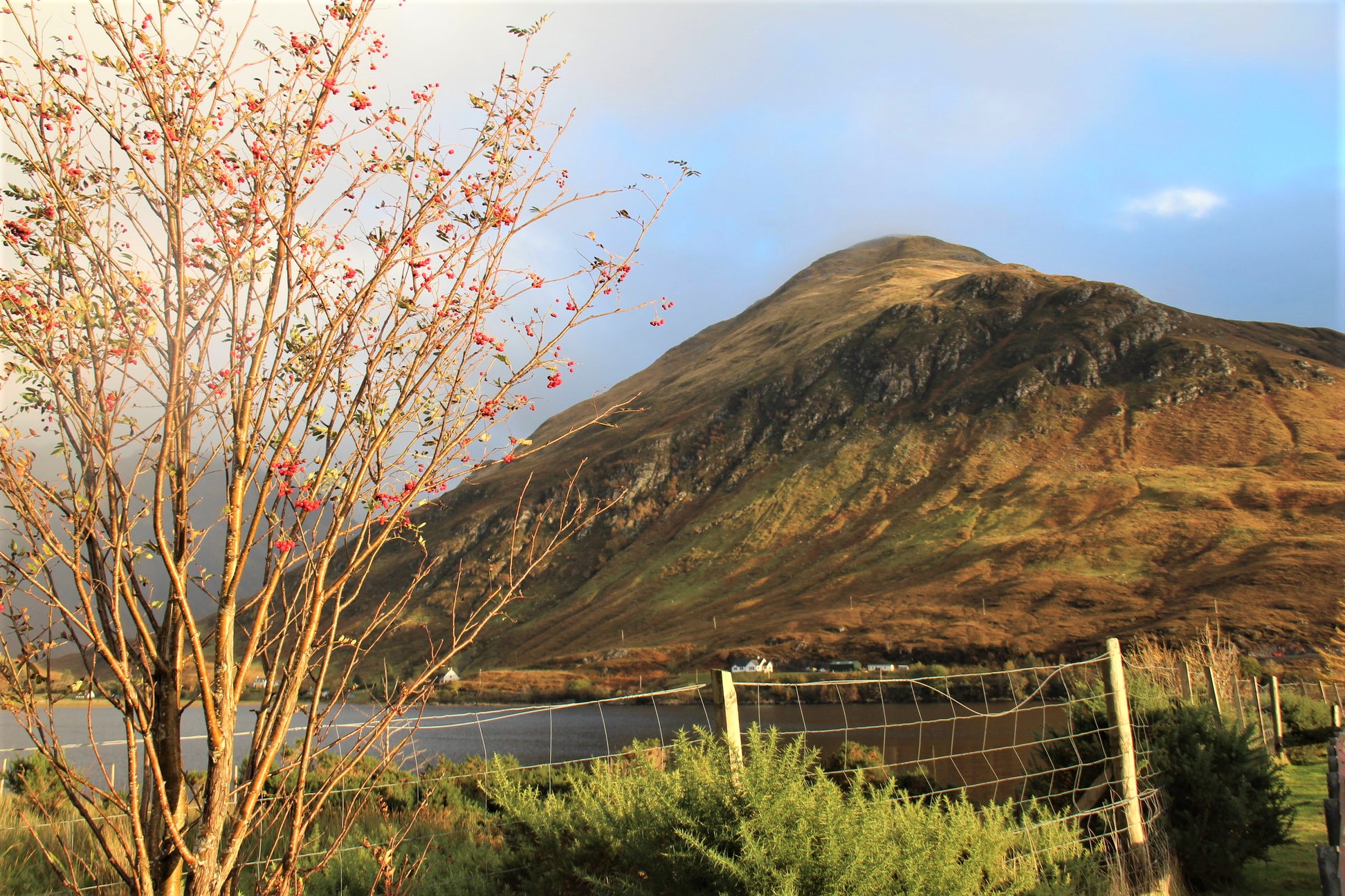 Paysage typique des Highlands d'Écosse, en automne.