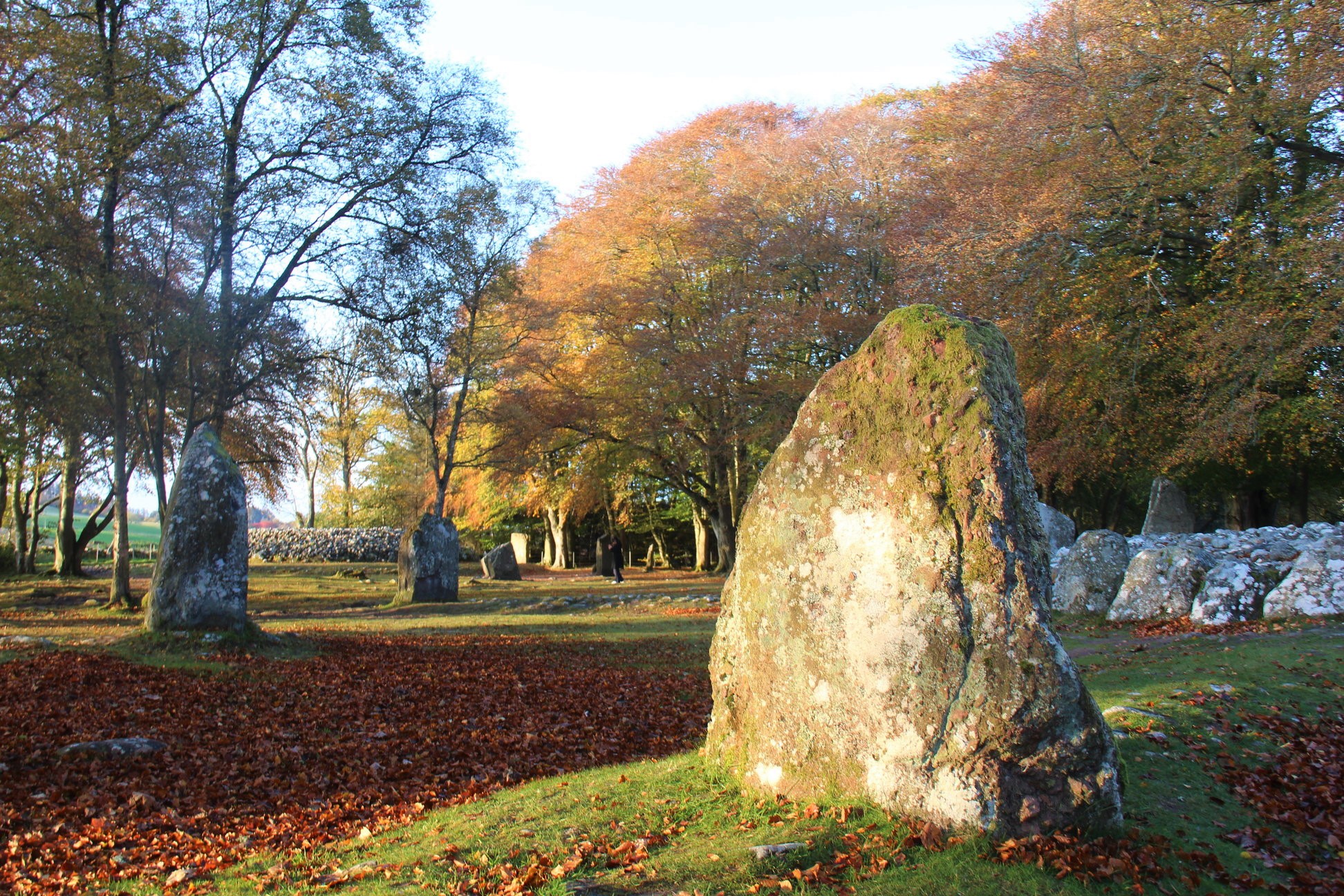 Le site de Clava Cairns, avec ses cercles de pierres.