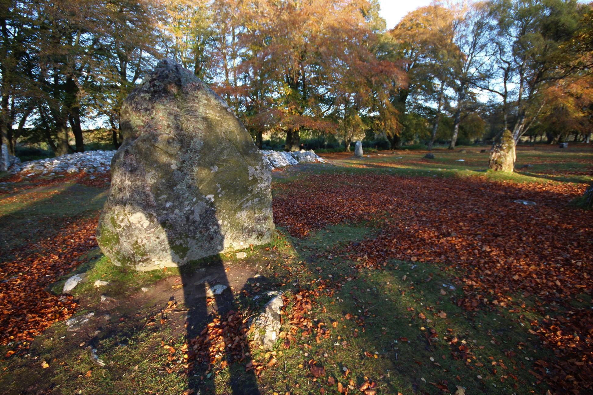 Le site de Clava Cairns, dans les Highlands d'Écosse.