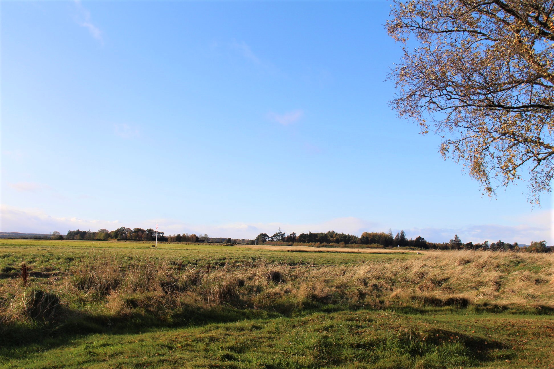 Le champ de bataille de Culloden, dans les Highlands.