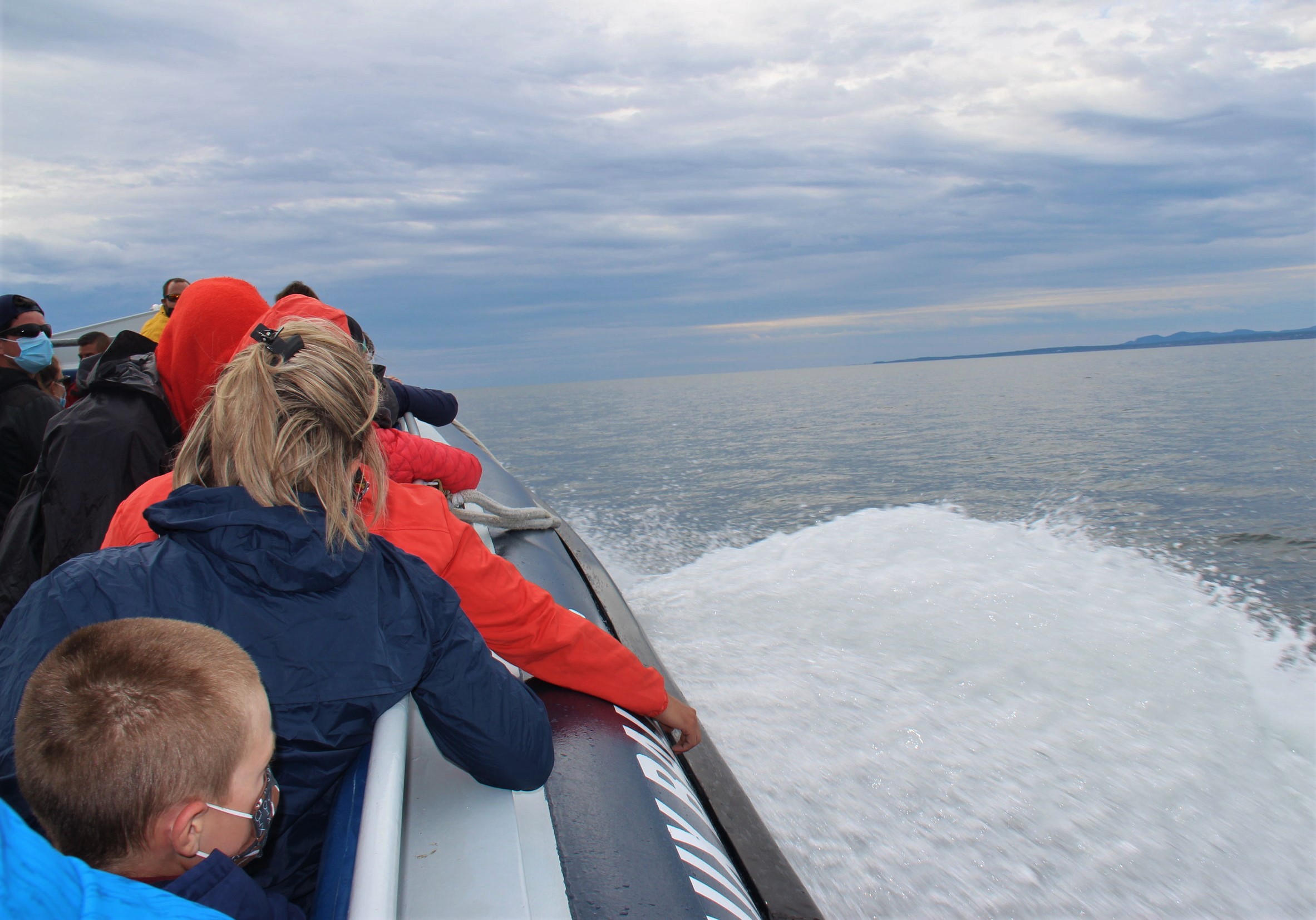 En croisière pour observer les baleines, sur la baie de Gaspé