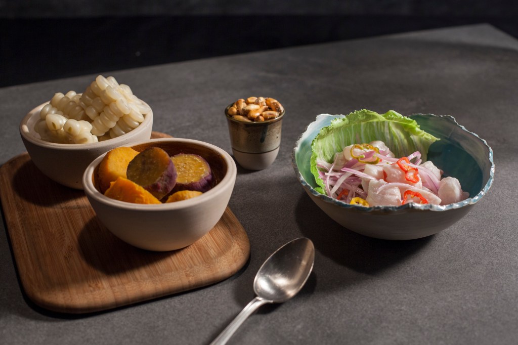 Ceviche du Pérou
