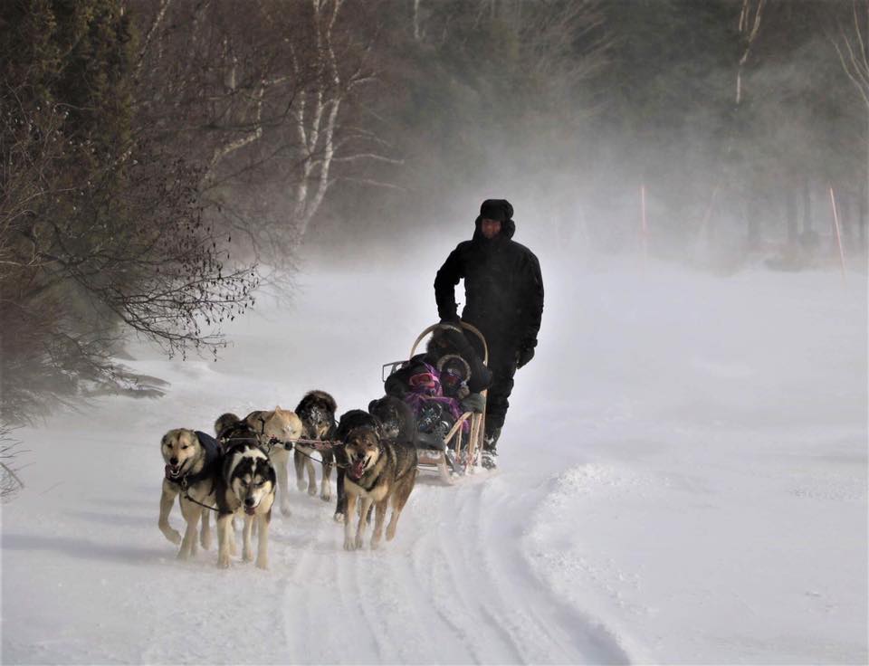 Traîneau à chiens avec Amarok Expedition