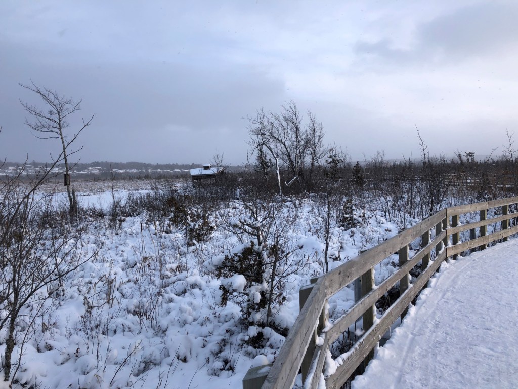 Sentiers du Marais de la Rivière aux Cerises