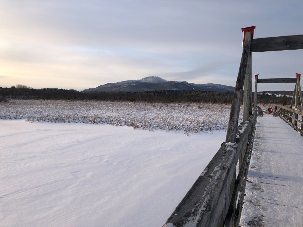 Vue sur le Mont Orford, du Marais de la Rivière aux Cerises
