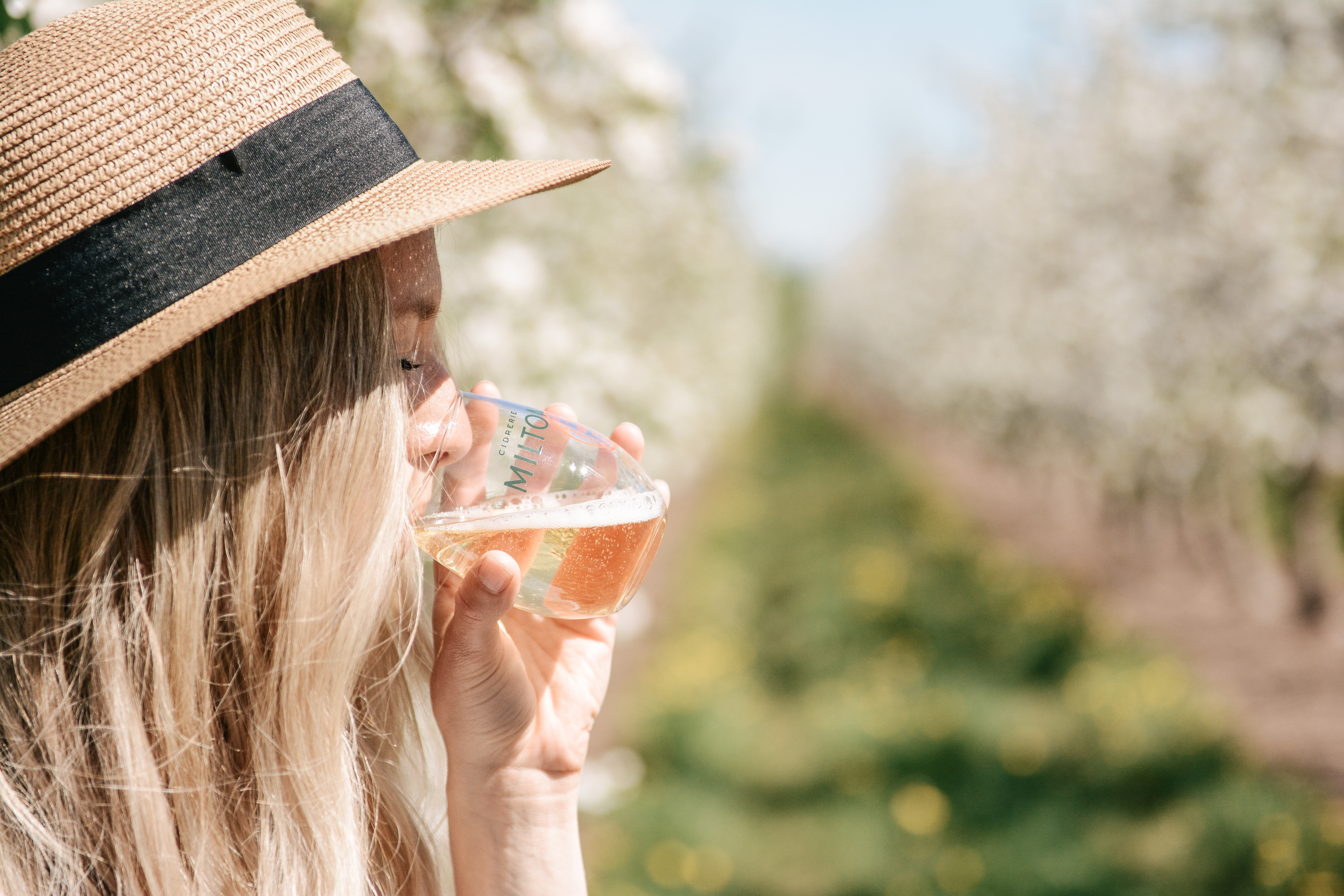 Fille boit cidre dans les vergers de la Cidrerie Milton