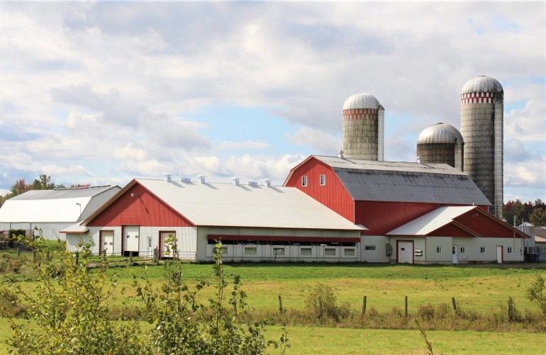 Ferme à proximité de Cookshire