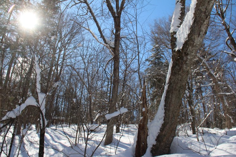 Refuges Perchés: un beau site hivernal