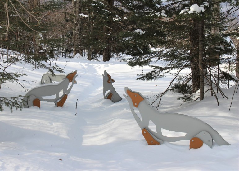 Parc du Mont-Tremblant, réputé pour ses loups.