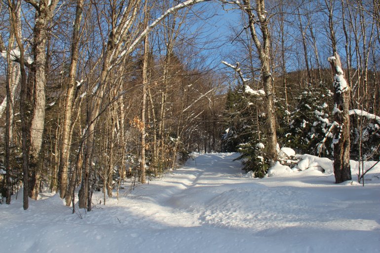 Parc du Mont-Tremblant