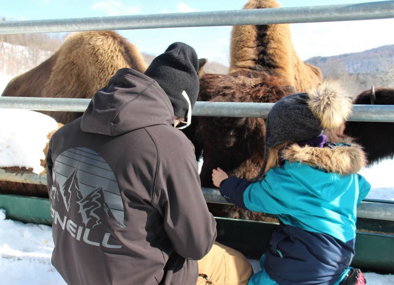 La Collation des bisons du Domaine Kanata-Aki