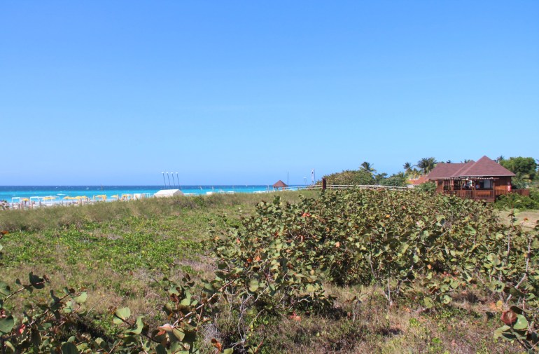 Le tourisme durable à Cuba passe par la préservation des dunes et des habitats côtiers.