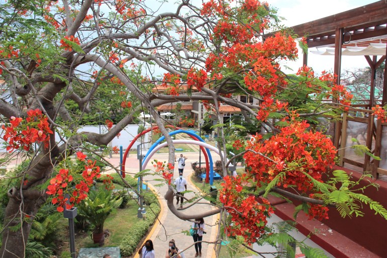 Terrasse du Bar Bello, à Varadero