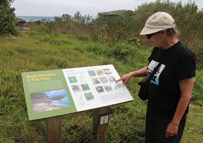 Randonnée avec Lyn Thorne