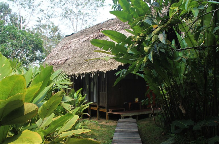 Chambre de l'Écolodge Calanoa