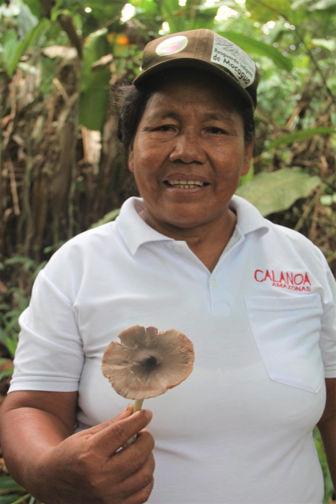 Guide montrant un champignon