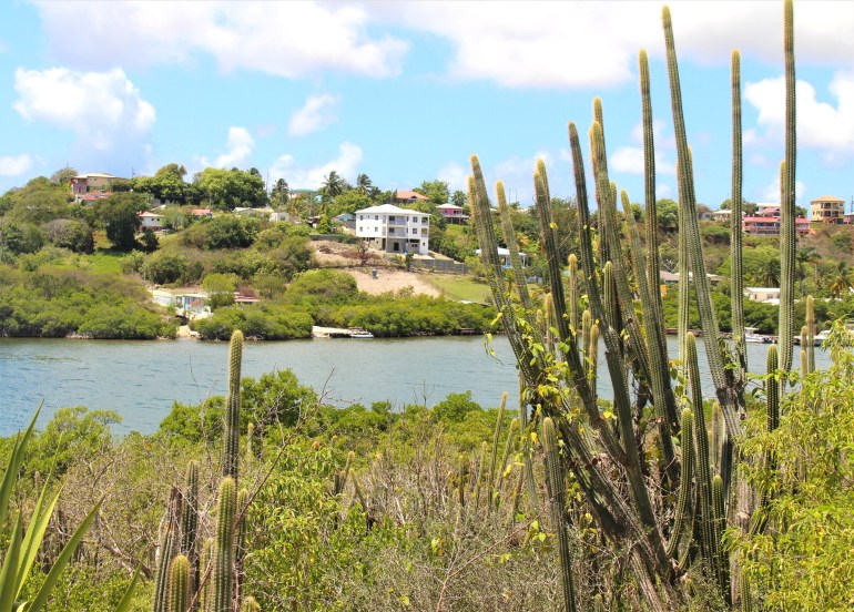 sur l'île de Laviscount